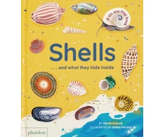KNYGA Helen Scales Shells... and what they hide inside, A Lift-the-Flap Adventure