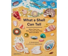 KNYGA Helen Scales What A Shell Can Tell