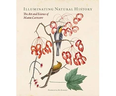 KNYGA Henrietta Mcburney Illuminating Natural History