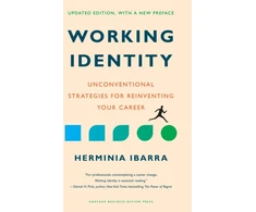 KNYGA Herminia Ibarra Working Identity