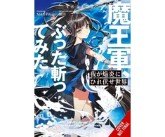 KNYGA Hiyoko Sumeragi World Bows Down Before My Flames, Vol. 2 (novel)