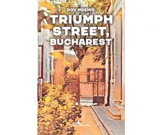 KNYGA Hoenig Triumph Street, Bucharest