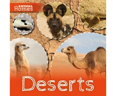 KNYGA Holly Duhig Deserts
