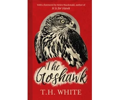 KNYGA Howard Hughes Goshawk