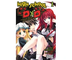 KNYGA Ichiei Ishibumi High School DxD, Vol. 1 (light novel)