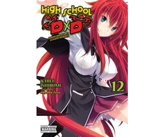 KNYGA Ichiei Ishibumi High School DxD, Vol. 12 (light novel)
