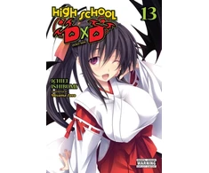 KNYGA Ichiei Ishibumi High School DxD, Vol. 13 (light novel)