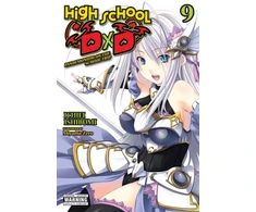 KNYGA Ichiei Ishibumi High School DxD, Vol. 9 (light novel)