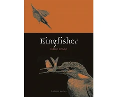 KNYGA Ildiko Szabo Kingfisher