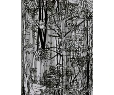 KNYGA Ingo Giezendanner Bucherwald