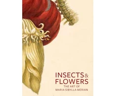 KNYGA Insects and Flowers – The Art of Maria Sibylla Merian