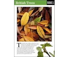 KNYGA Instant Instant Guides British Trees