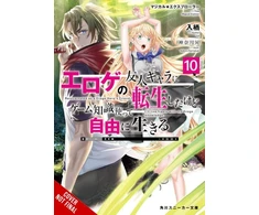 KNYGA IRIS Magical Explorer, Vol. 10 (light novel)