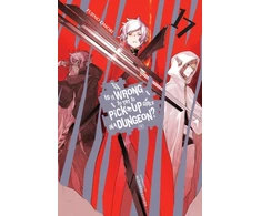 KNYGA Is It Wrong to Try to Pick Up Girls in a Dungeon?, Vol. 17 (light novel)