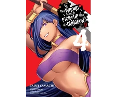 KNYGA Is It Wrong to Try to Pick Up Girls in a Dungeon? II, Vol. 4 (manga)