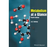 KNYGA J G Salway Metabolism at a Glance