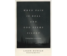 KNYGA J Ligon Duncan When Pain Is Real and God Seems Silent