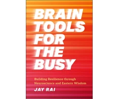KNYGA J Rai Brain Tools for the Busy