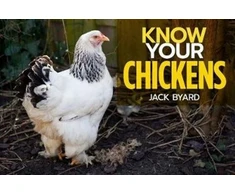 KNYGA Jack Byad Know Your Chickens