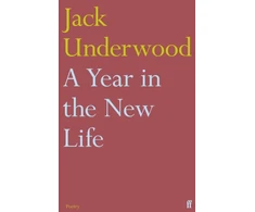 KNYGA Jack Underwood A Year in the New Life