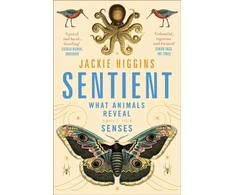 KNYGA Jackie Higgins Sentient