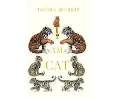KNYGA Jackie Morris I am Cat
