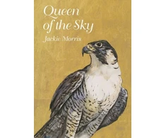 KNYGA Jackie Morris Queen of the Sky