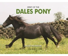 KNYGA Jackie Snowdon Spirit of the Dales Pony