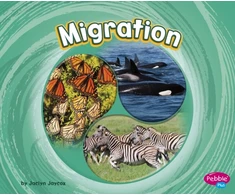 KNYGA Jaclyn Jaycox Migration