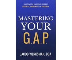 KNYGA Jacob Werksman Mastering Your G.A.P.