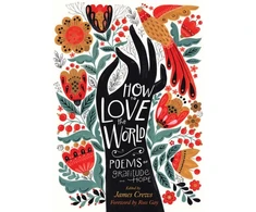 KNYGA James Crews How to Love the World