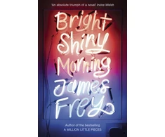 KNYGA James Frey Bright Shiny Morning