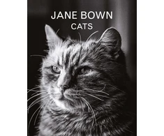 KNYGA Jane Bown: Cats