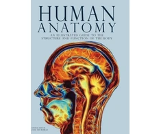 KNYGA Jane De Burgh Human Anatomy, An Illustrated Guide to the Structure and Function of the Body