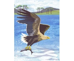 KNYGA Jane Smith Nature Notebook: Sea Eagle