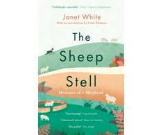 KNYGA Janet White Sheep Stell