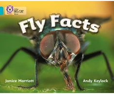 KNYGA Janice Marriott Fly Facts