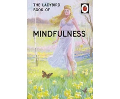 KNYGA Jason Hazeley Ladybird Book of Mindfulness