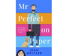 KNYGA Jean Meltzer Mr Perfect on Paper