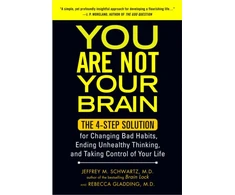 KNYGA Jeffrey M Schwartz You Are Not Your Brain