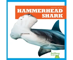 KNYGA Jenna Lee Gleisner Hammerhead Shark