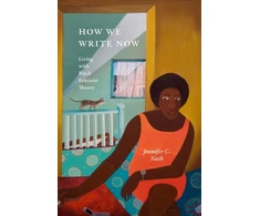 KNYGA Jennifer C Nash How We Write Now