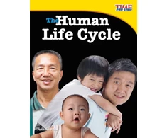 KNYGA Jennifer Prior Human Life Cycle
