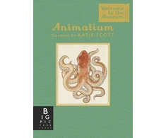 KNYGA Jenny Broom Animalium (Mini Gift Edition)