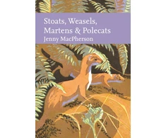 KNYGA Jenny Macpherson Stoats, Weasels, Martens and Polecats