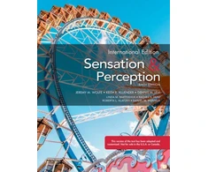 KNYGA Jeremy Wolfe Sensation and Perception
