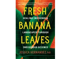 KNYGA Jessica Hernandez Fresh Banana Leaves