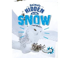 KNYGA Jessica Rusick Animals Hidden in the Snow