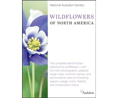 KNYGA Jim Cirigliano National Audubon Society Wildflowers of North America