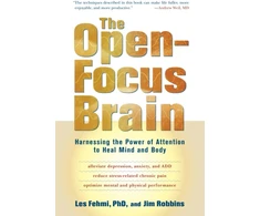 KNYGA Jim Robbins Open-Focus Brain